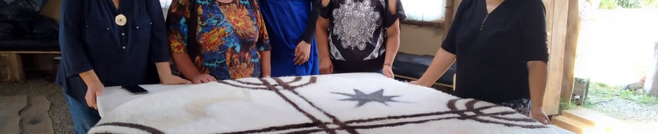 Resultados taller SUBРО