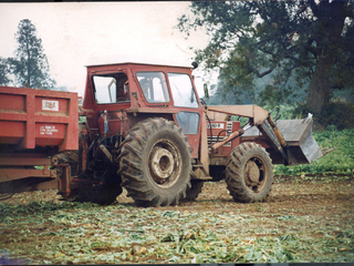 El trabajo de mi abuelo