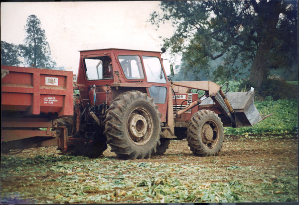 El trabajo de mi abuelo
