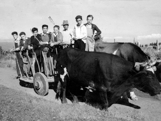 Alumnos Instituto Salesiano de Valdivia
