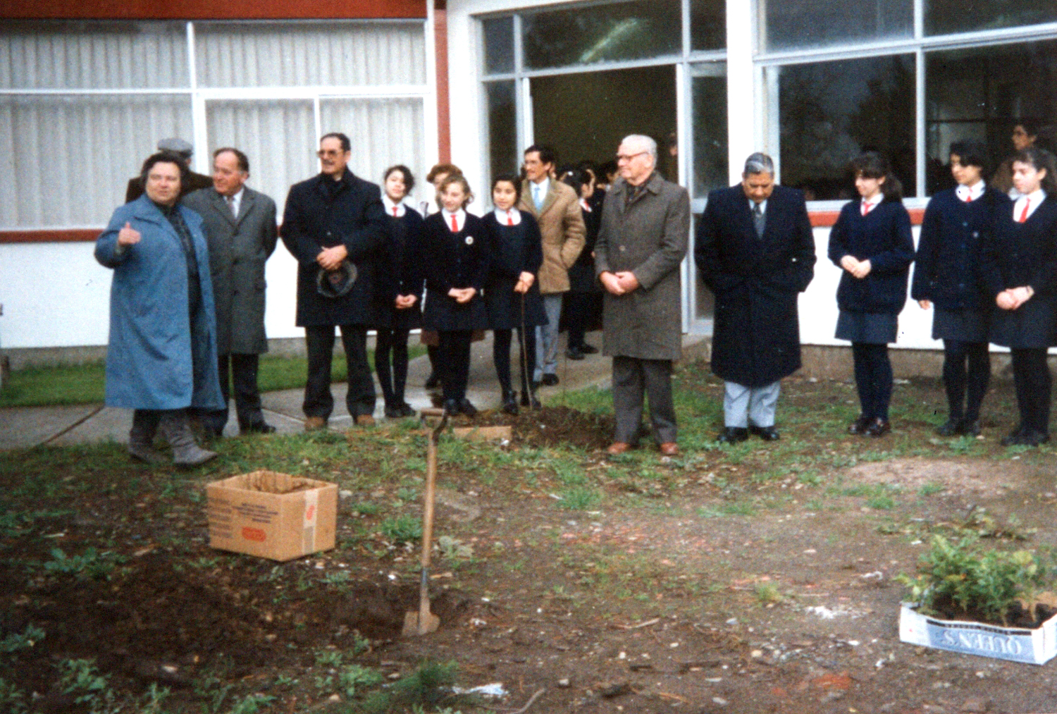 Semana del Árbol Semana del Árbol