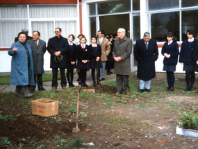 Semana del Árbol