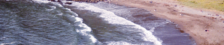 Playa de Curiñanco