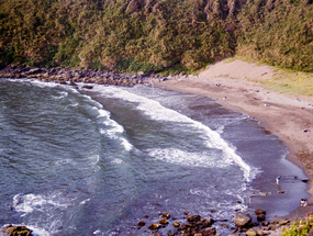 Playa de Curiñanco
