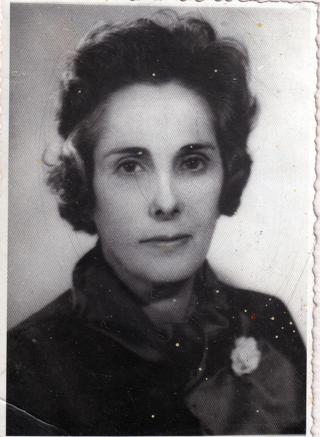 Directora Liceo de Niñas de Valdivia Directora Liceo de Niñas de Valdivia