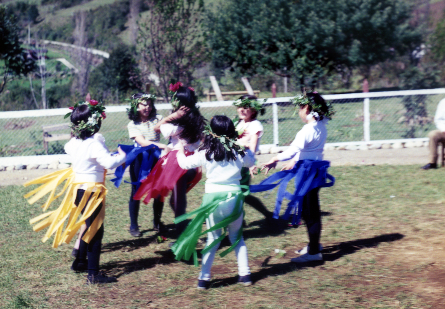 Bailando al viento Bailando al viento