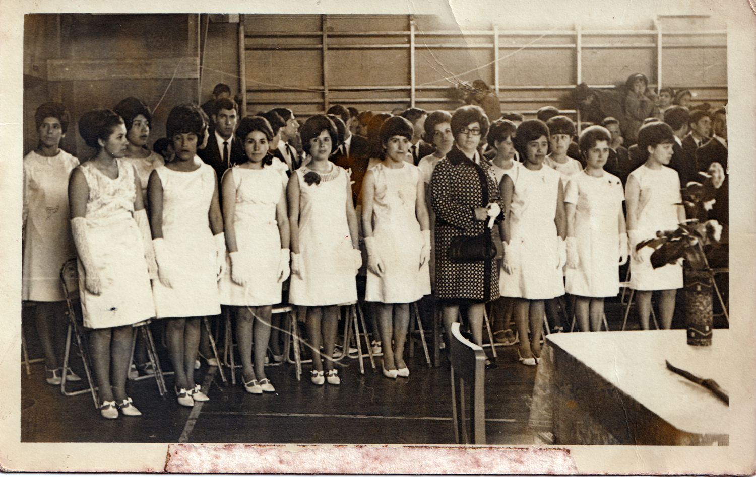 Licenciatura 6° año B Licenciatura 6° año B
