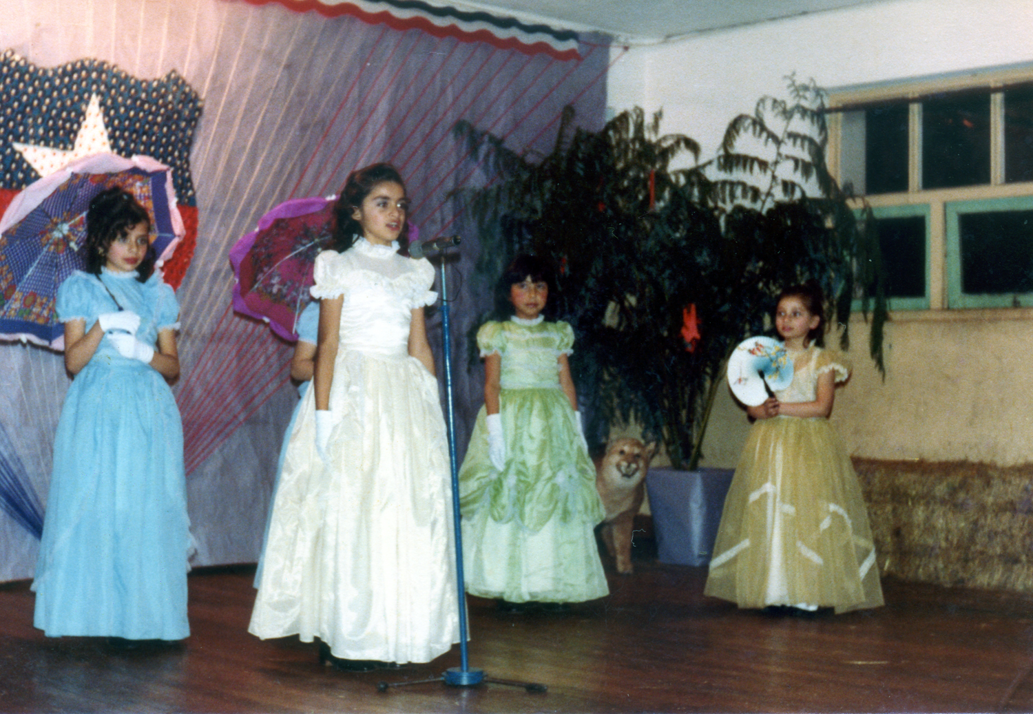 Representación mujeres patriotas Representación mujeres patriotas