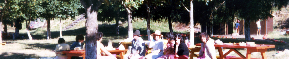 Paseo de curso 8° básico A