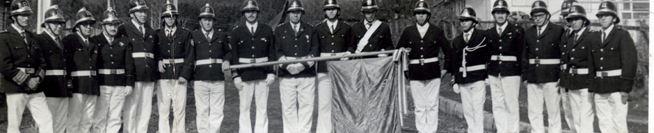 Desfile con estandarte