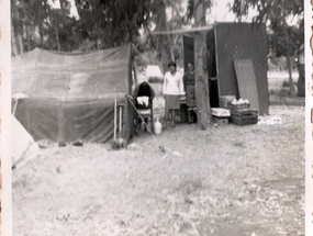Pichidangui en camping del bosque