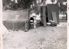 Pichidangui en camping del bosque