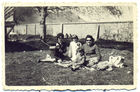 Picnic