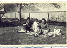 Picnic