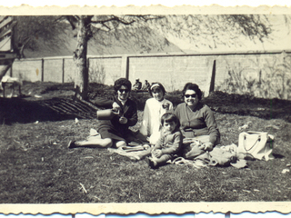 Picnic