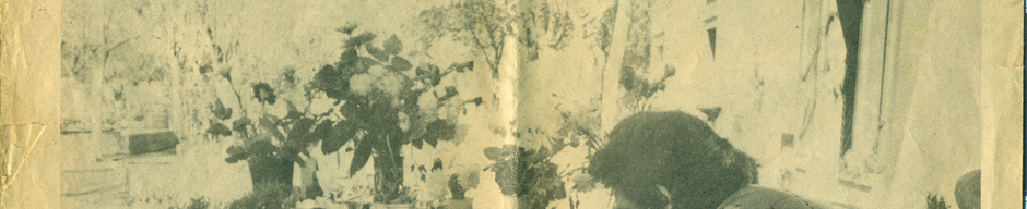 Ángel Parra