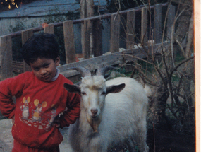 La mascota de la familia