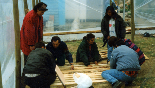 Construcción de vivero