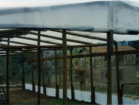 Vivero