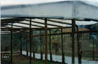Vivero