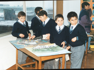 Grupo ecológico