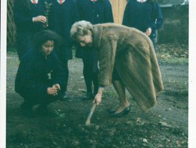 Plantando un árbol