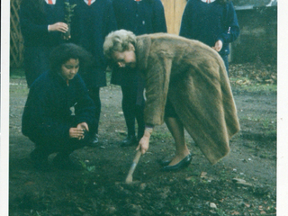 Plantando un árbol