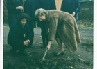 Plantando un árbol