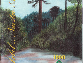 El Árbol… Nuestro Amigo
