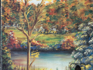 El Árbol… Nuestro Amigo