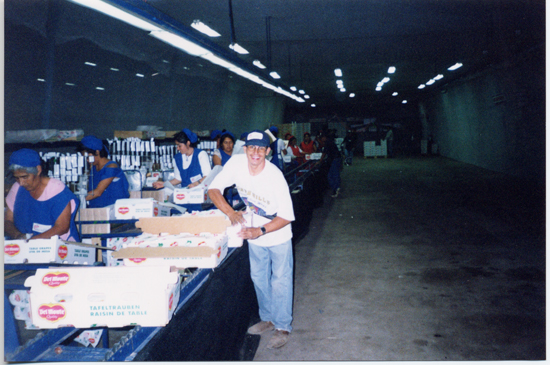 Faena en el packing Faena en el packing