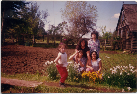 El jardín de la casa El jardín de la casa
