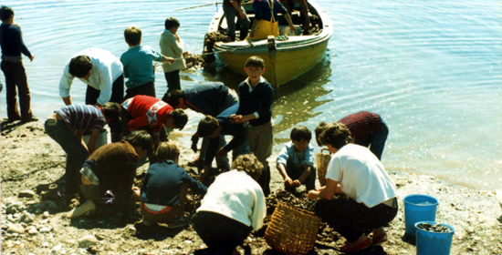 Clases de pesca y cultivos acuáticos Clases de pesca y cultivos acuáticos