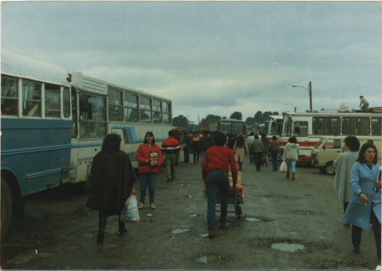 Terminal de buses Terminal de buses