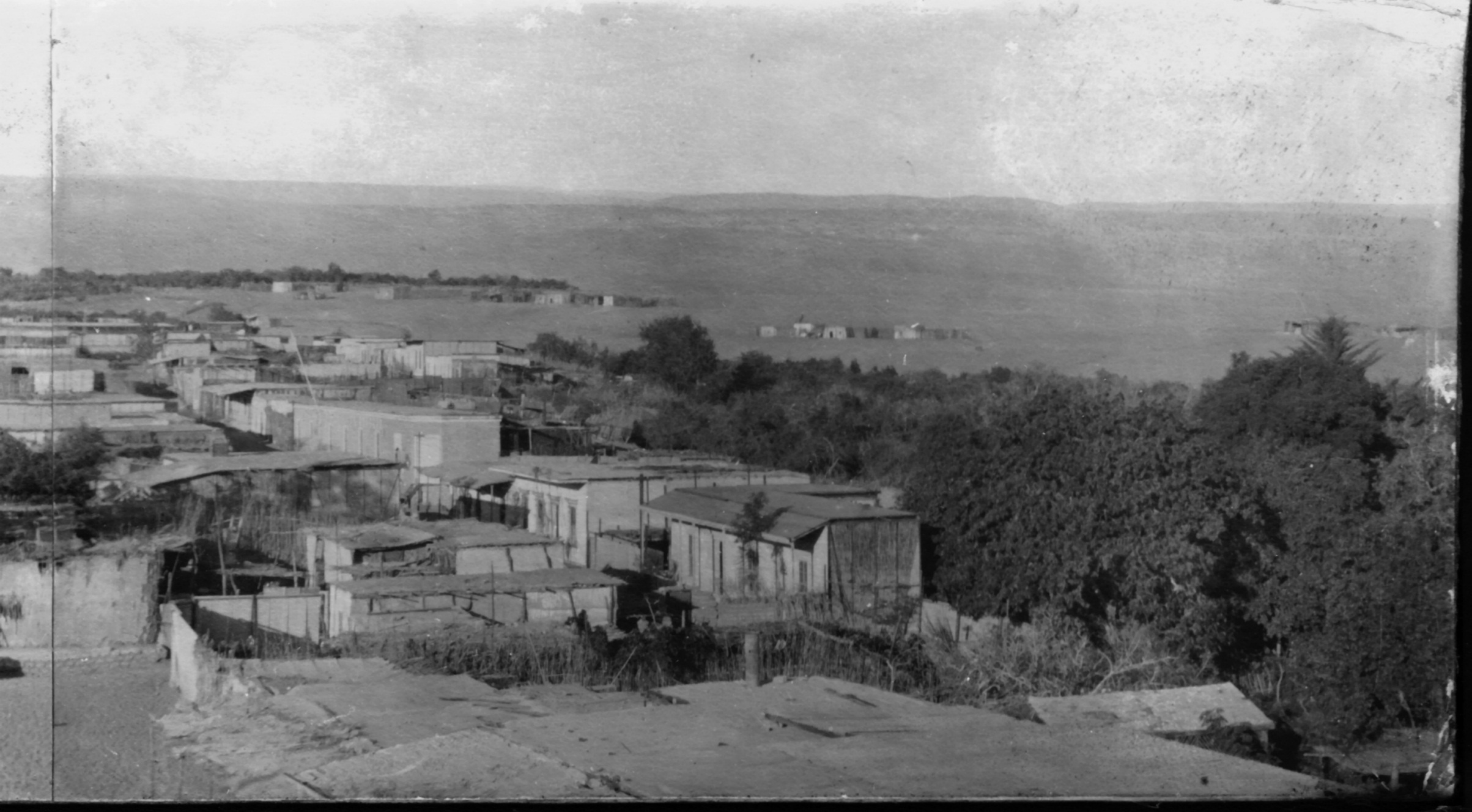 Panorámica del oasis de Pica Panorámica del oasis de Pica