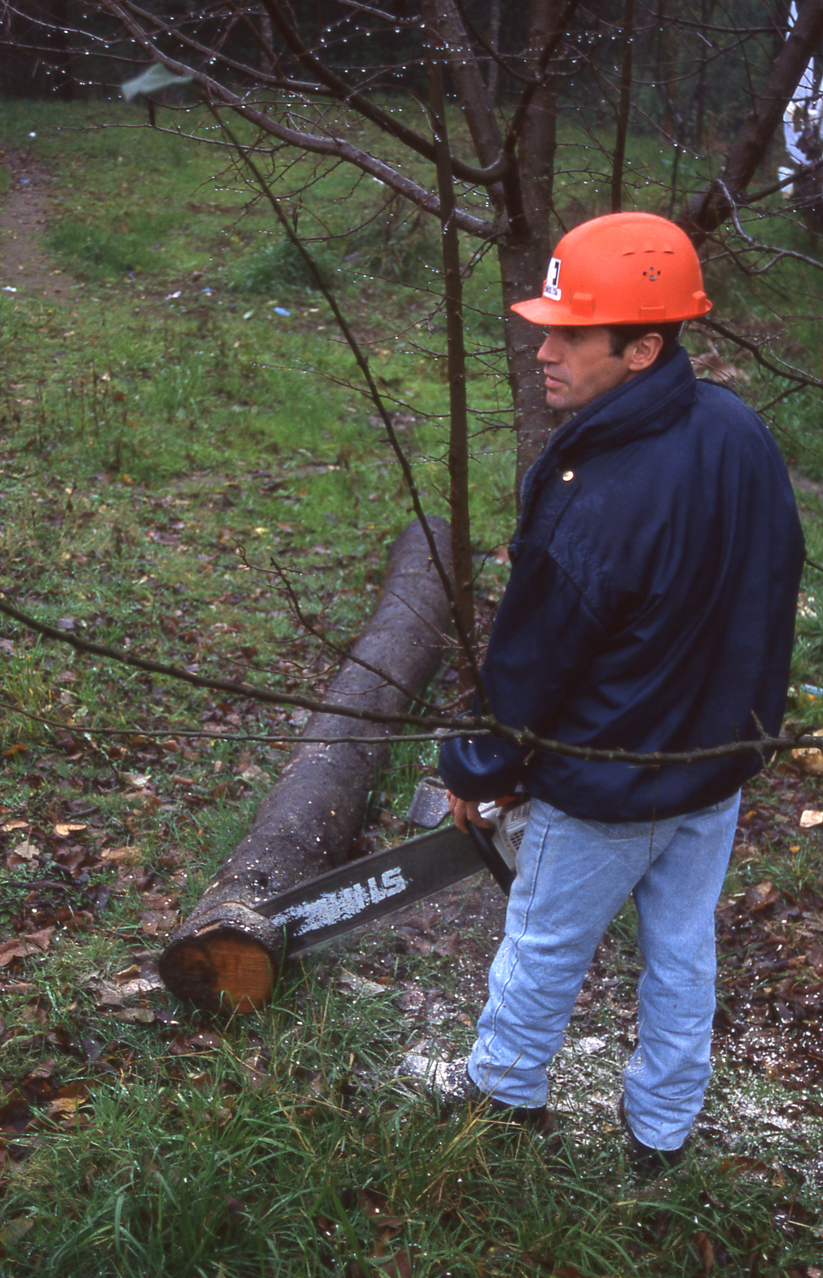 Obrero forestal Obrero forestal