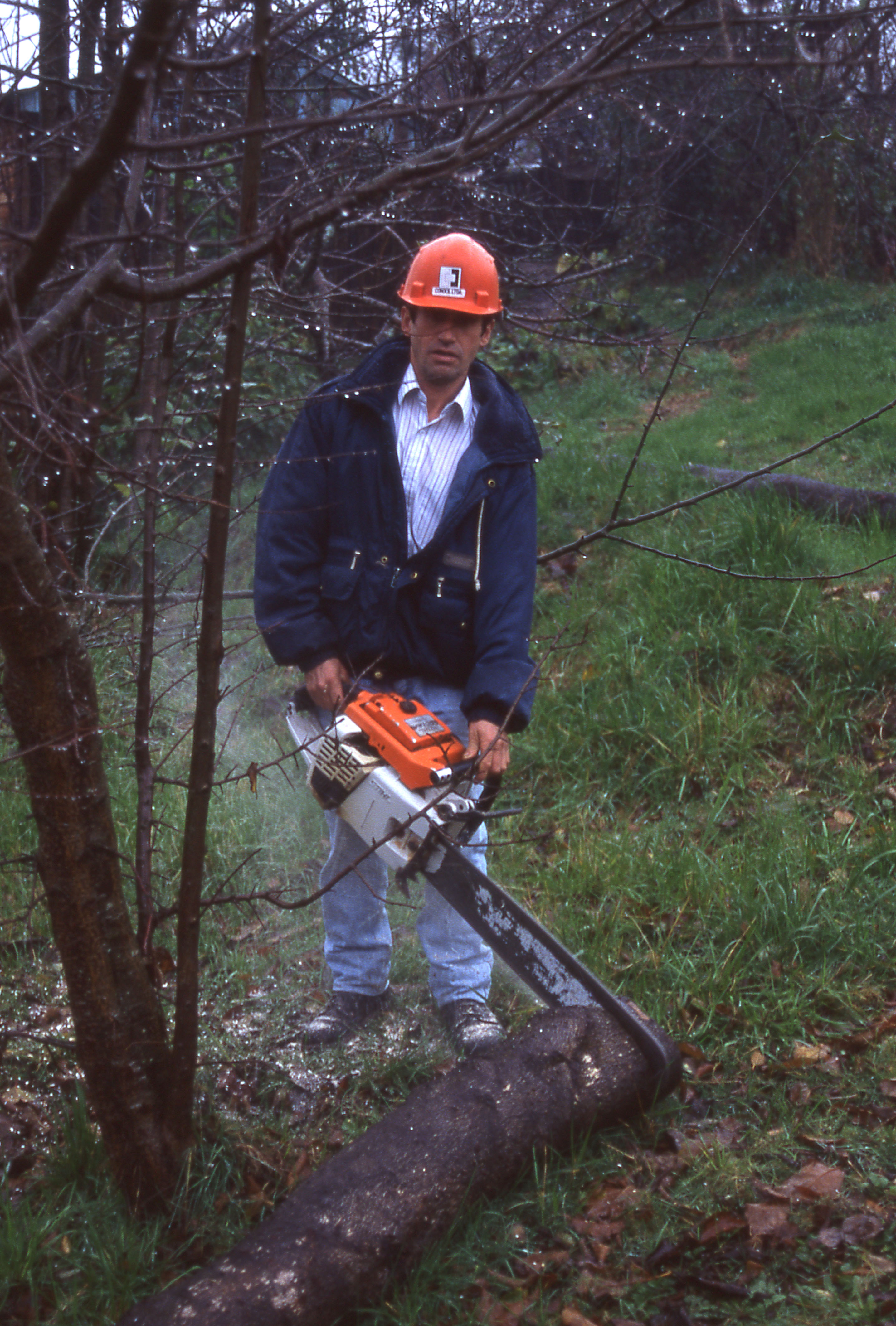 Trabajador forestal Trabajador forestal