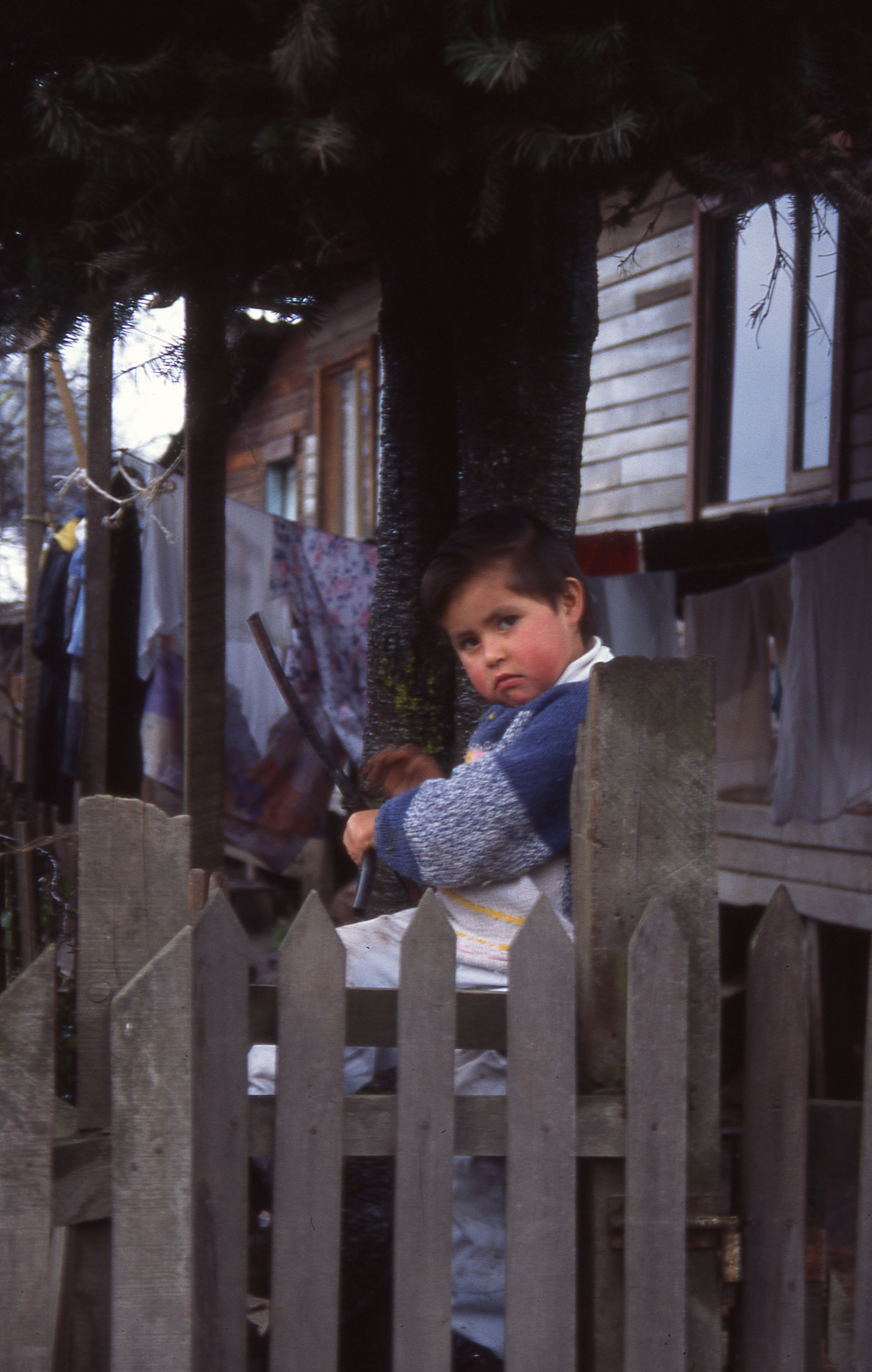 Niño de la población Lolquellén Niño de la población Lolquellén