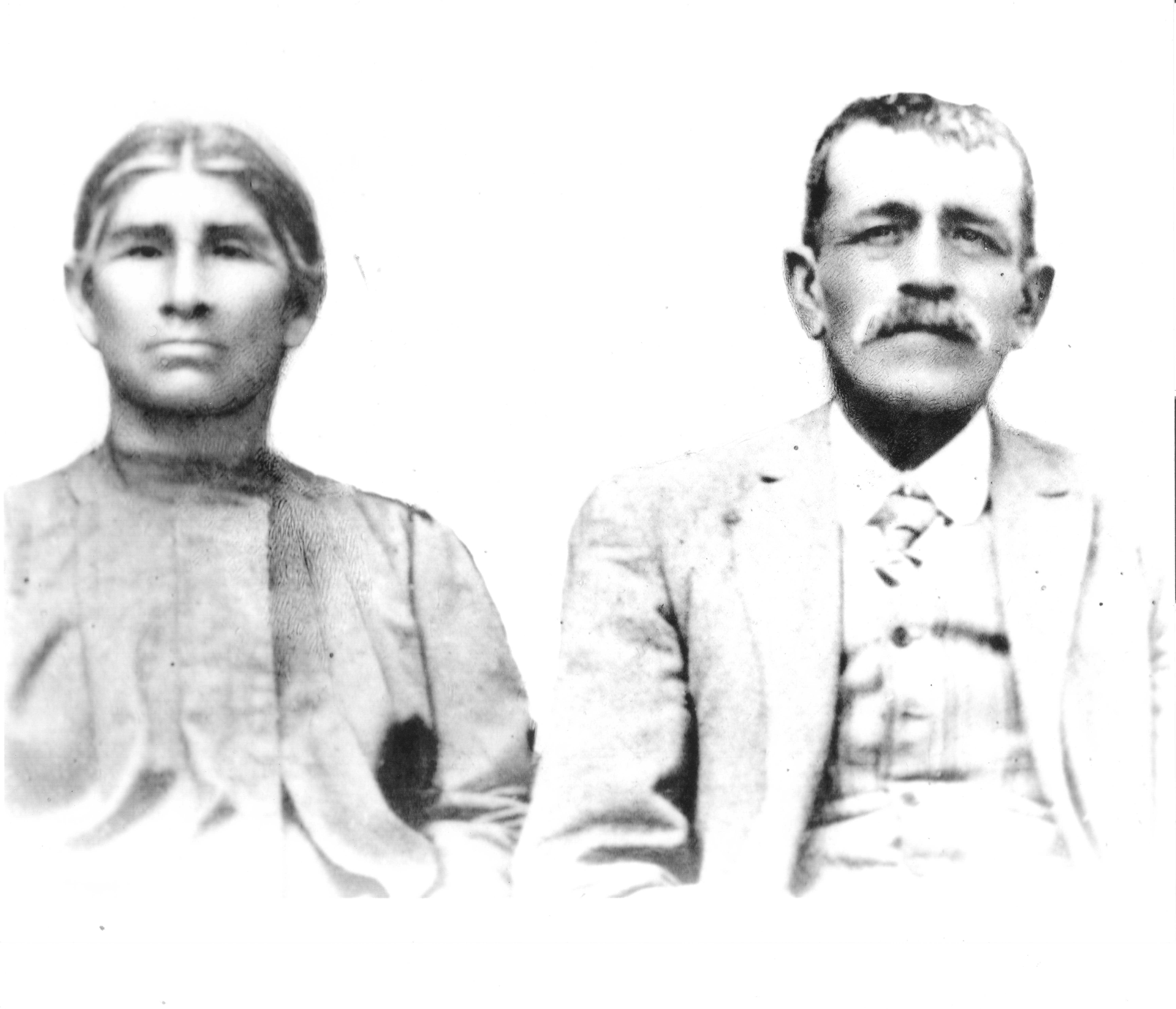 Pareja de Vicuña Pareja de Vicuña