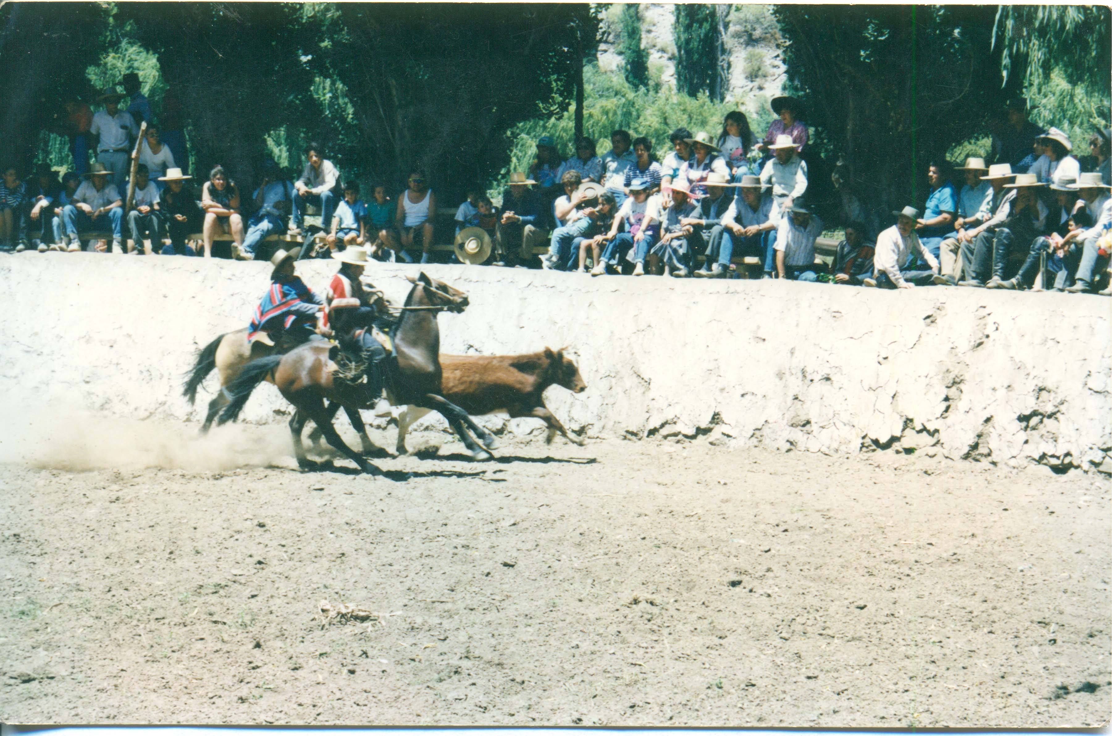 Rodeo en media luna de Tulahuén Rodeo en media luna de Tulahuén