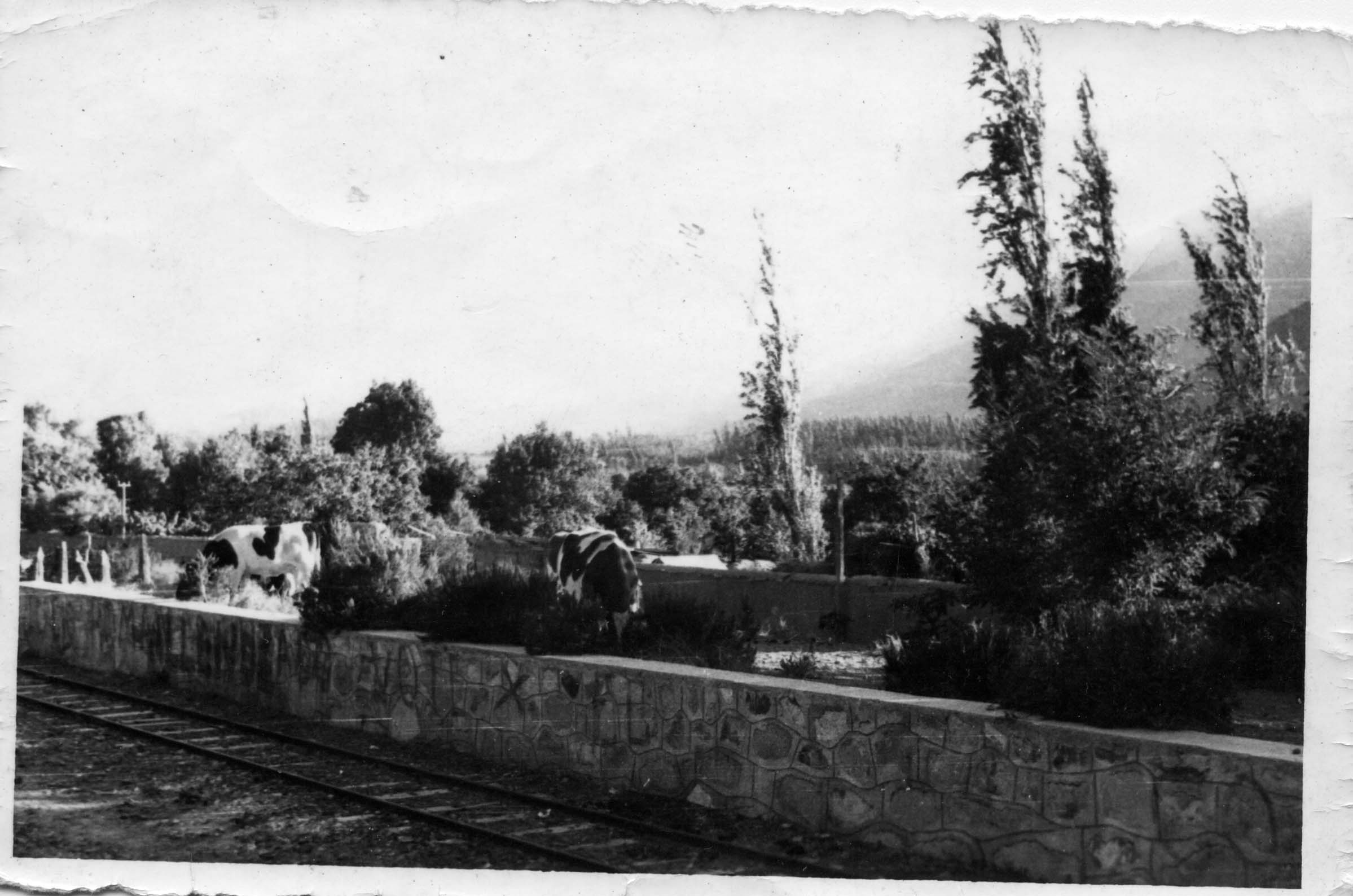 Estación de embarque de Gualliguica Estación de embarque de Gualliguica