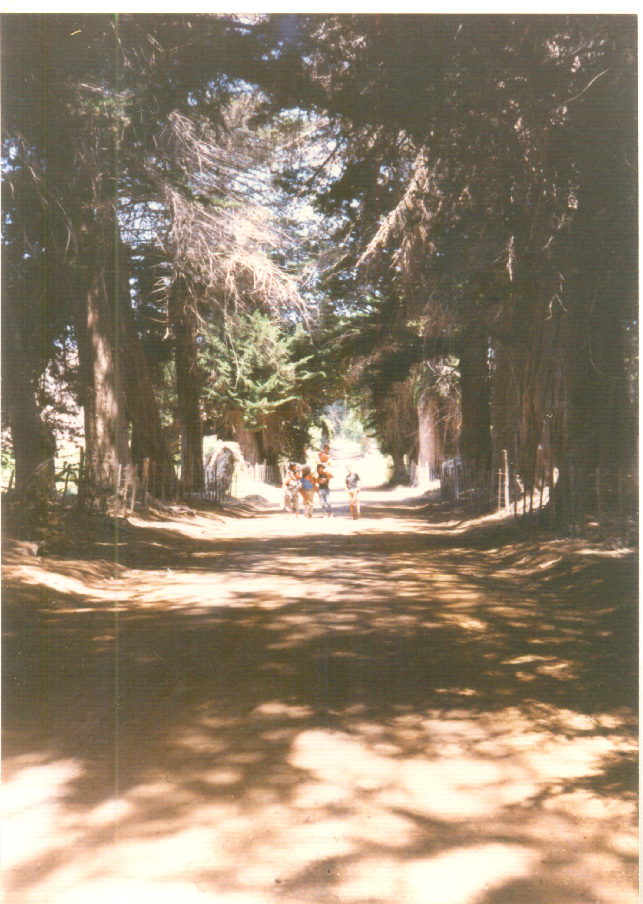 Familia de paseo en la hacienda El Tanque Familia de paseo en la hacienda El Tanque
