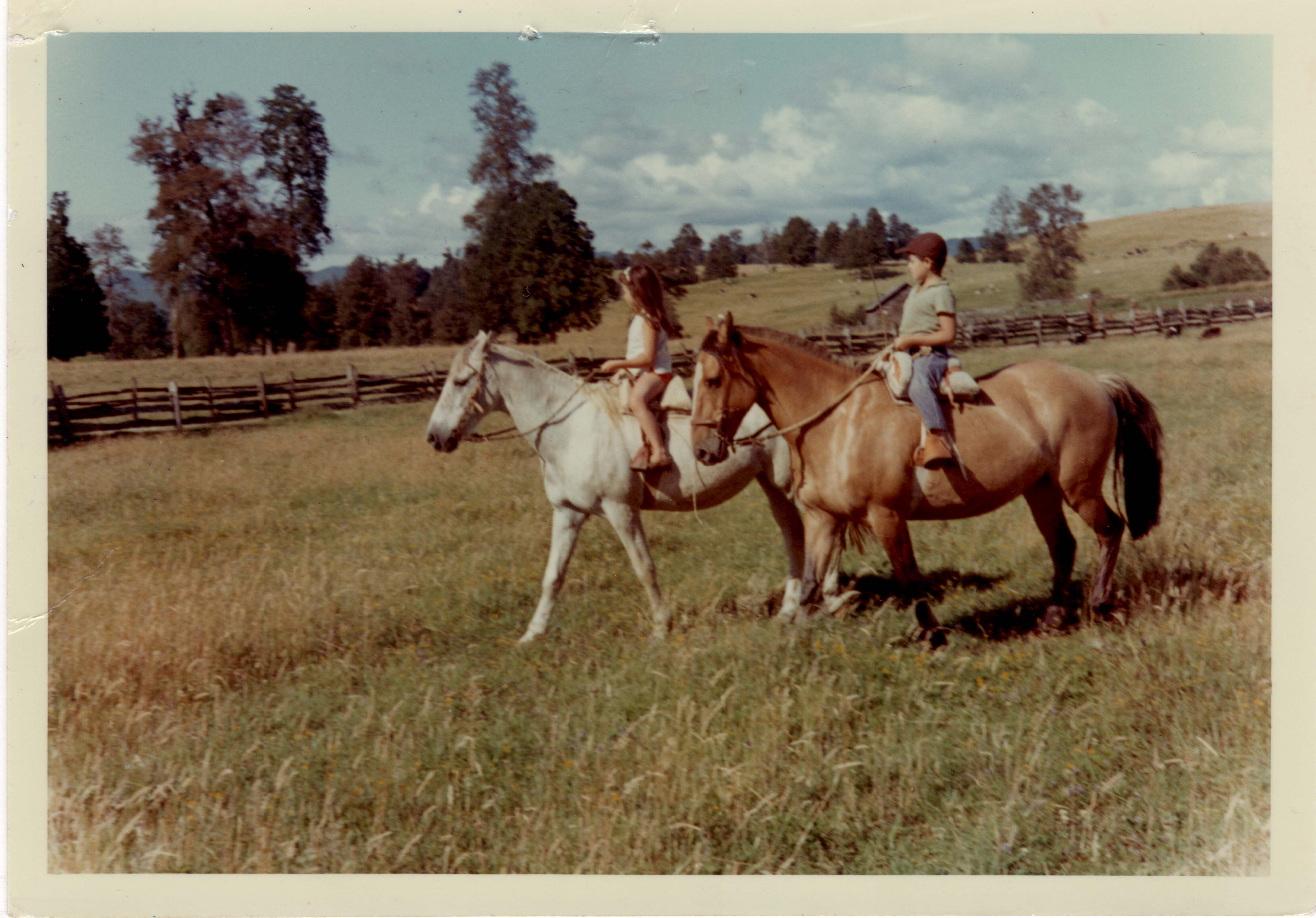 Cabalgata de los hermanos Pérez Rosales Cabalgata de los hermanos Pérez Rosales