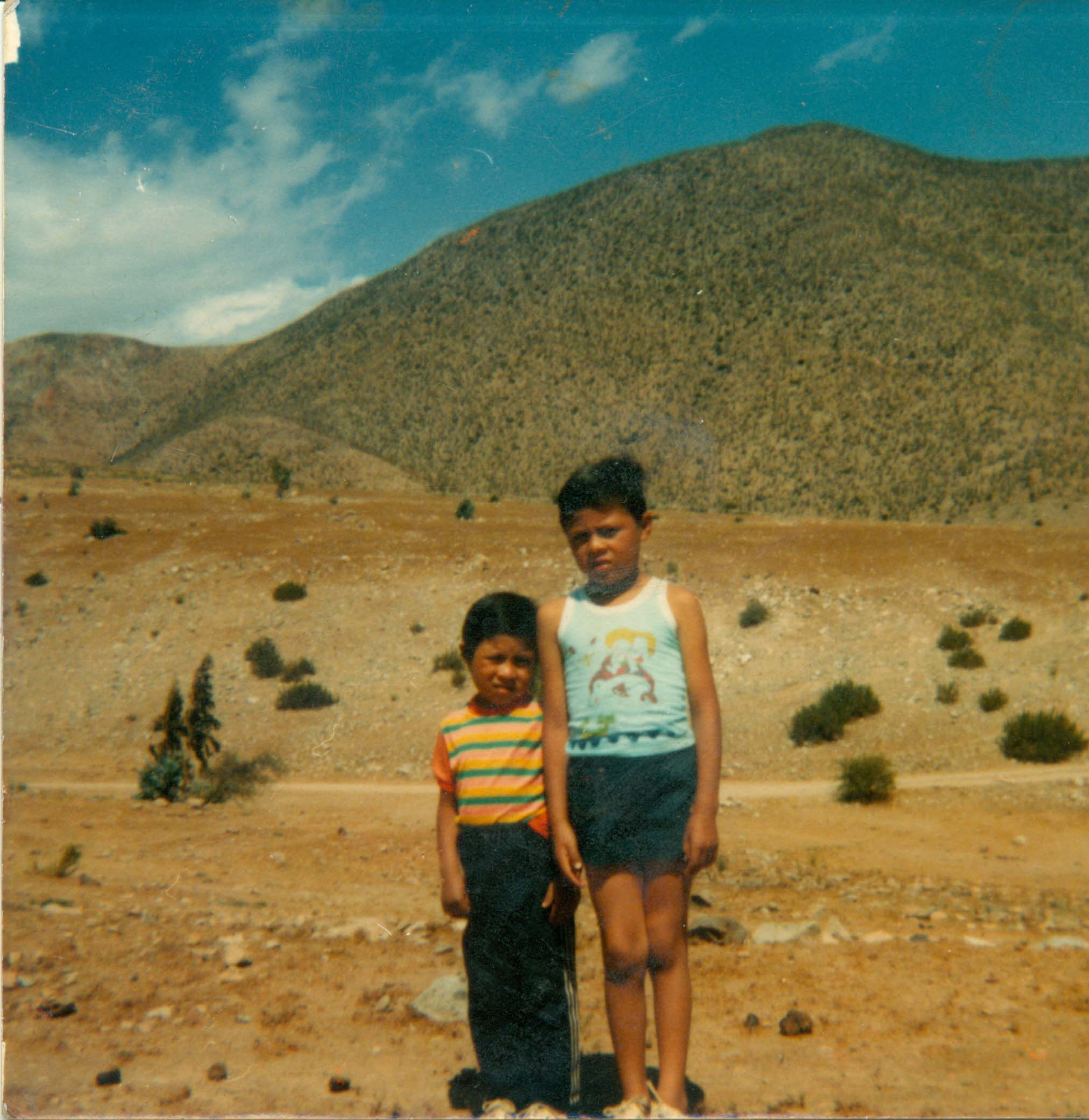 Hermanos Ogalde Flores Hermanos Ogalde Flores