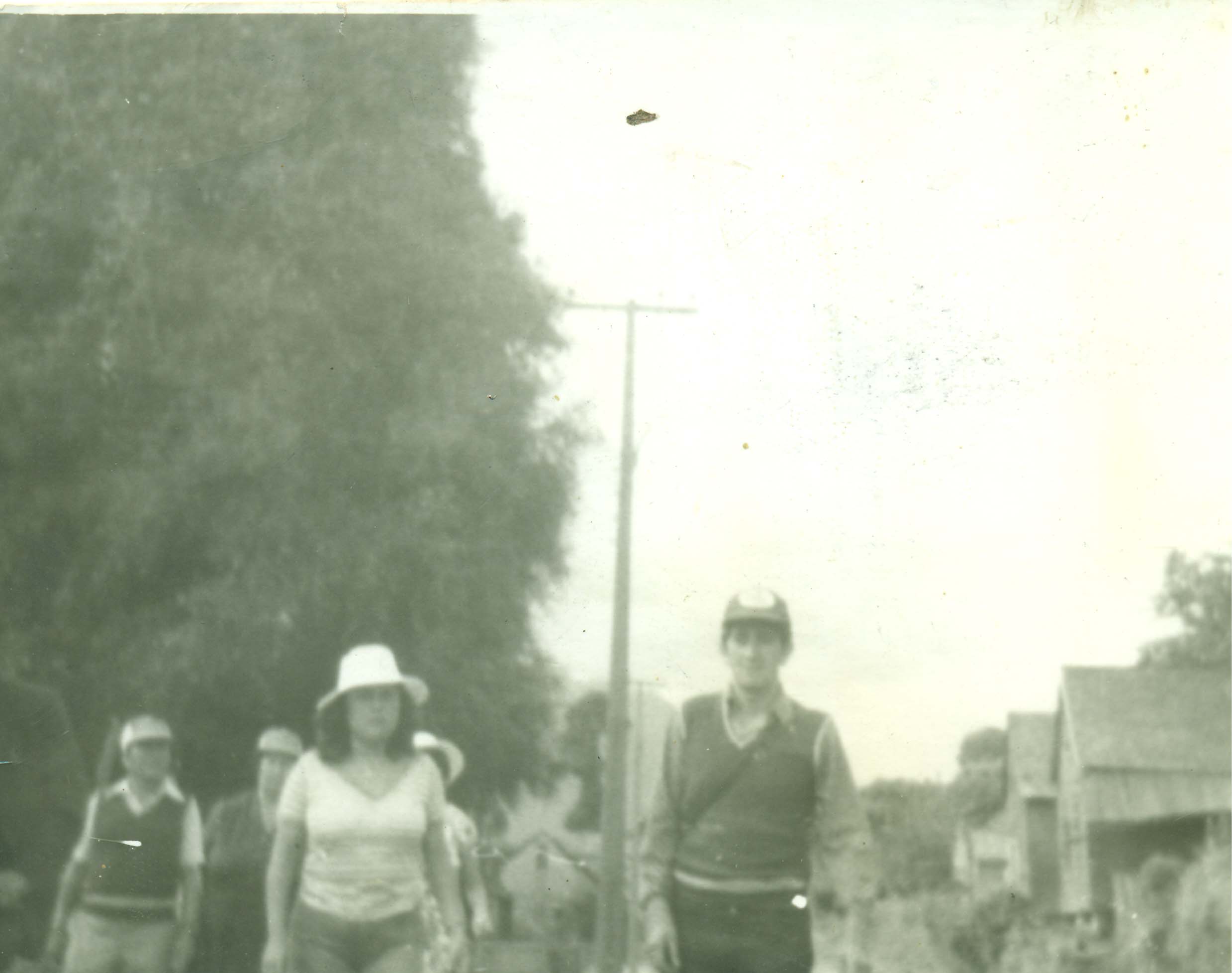 Caminata por avenida Cochamó Caminata por avenida Cochamó