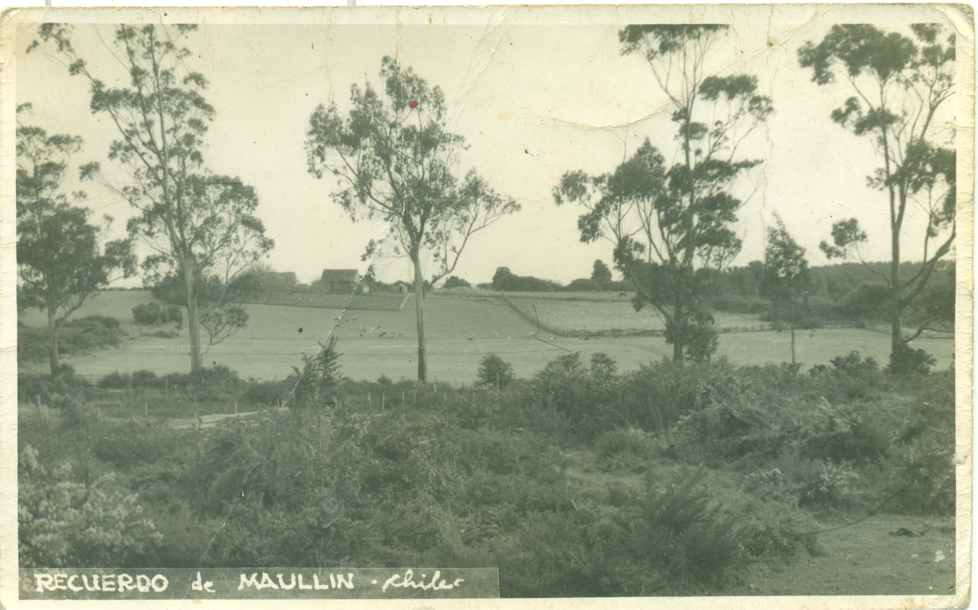 Paisaje de Maullín Paisaje de Maullín