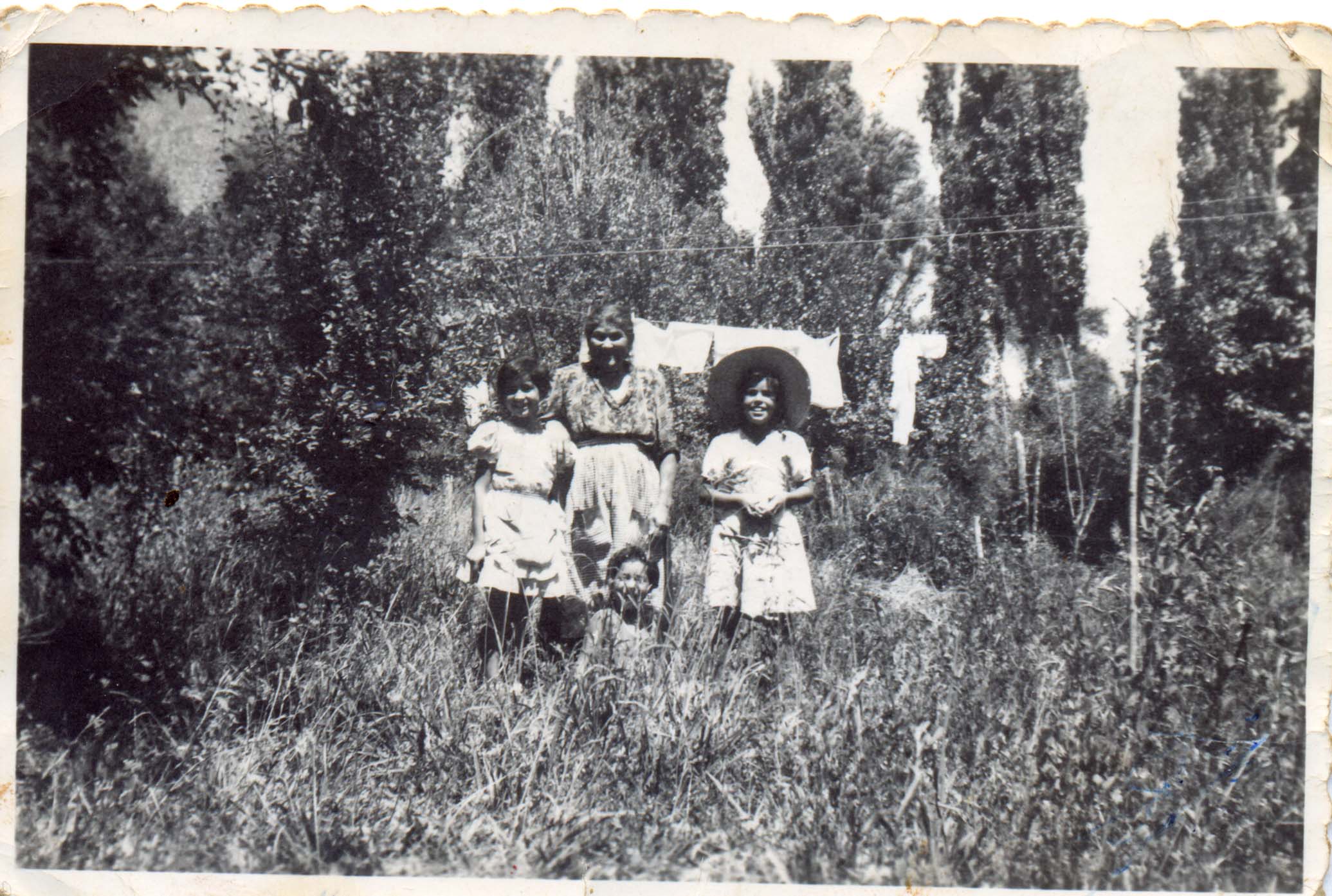 Tendido de ropa en el huerto de la abuela Tendido de ropa en el huerto de la abuela