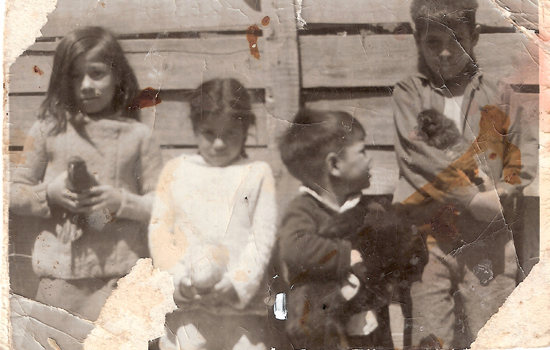 Hermanos Hernández Molina Hermanos Hernández Molina