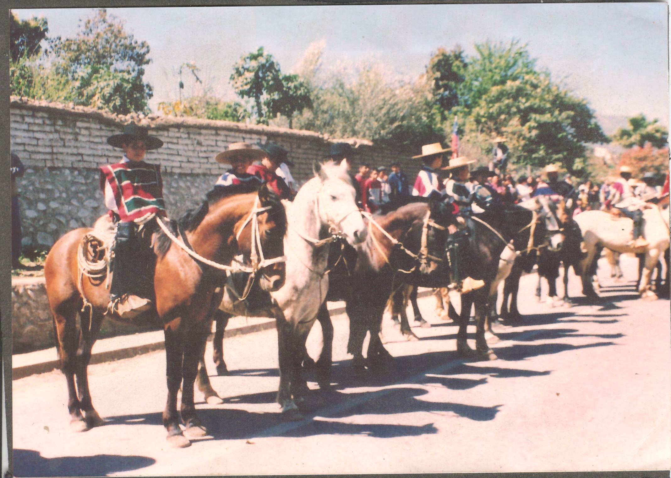 Desfile de fiestas patrias Desfile de fiestas patrias