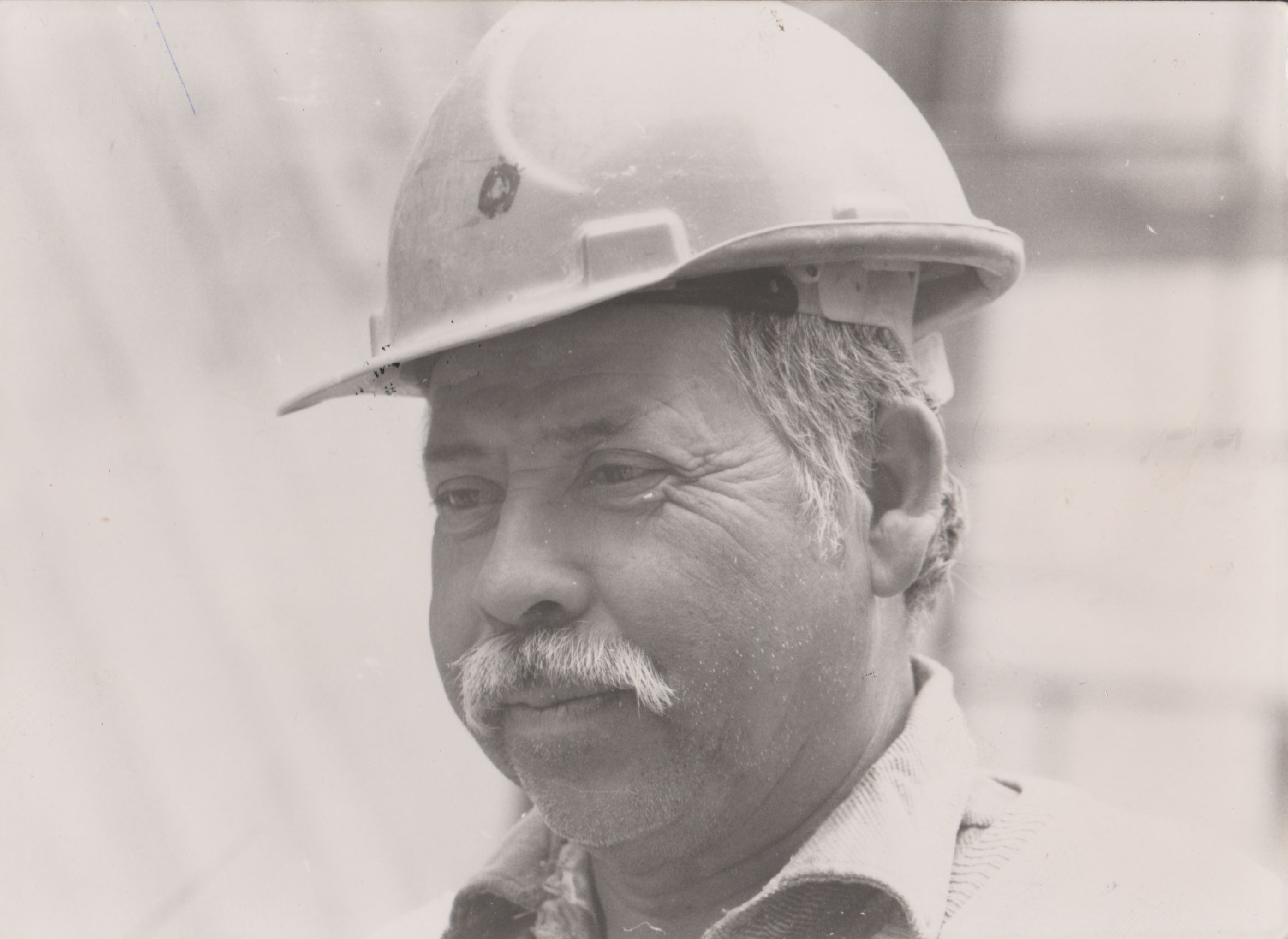 Darío Ibáñez Darío Ibáñez